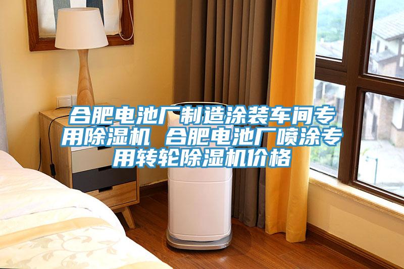 合肥電池廠制造涂裝車間專用除濕機 合肥電池廠噴涂專用轉(zhuǎn)輪除濕機價格