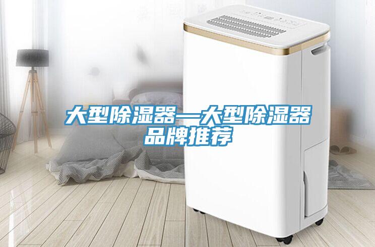 大型除濕器—大型除濕器品牌推薦