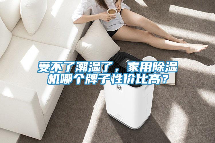 受不了潮濕了，家用除濕機哪個牌子性價比高？