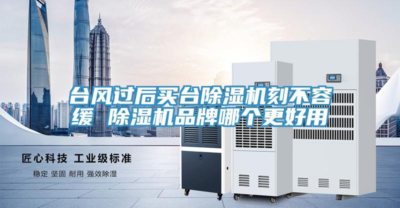 臺風(fēng)過后買臺除濕機(jī)刻不容緩 除濕機(jī)品牌哪個更好用