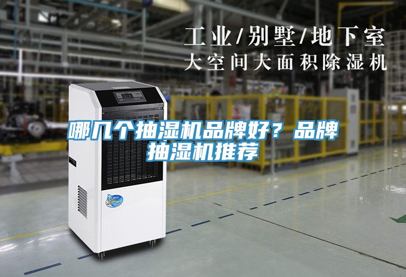 哪幾個(gè)抽濕機(jī)品牌好？品牌抽濕機(jī)推薦