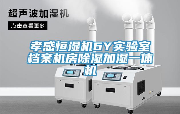 孝感恒濕機(jī)6Y實(shí)驗(yàn)室檔案機(jī)房除濕加濕一體機(jī)