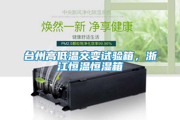 臺(tái)州高低溫交變?cè)囼?yàn)箱，浙江恒溫恒濕箱