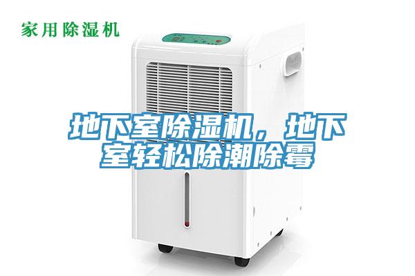 地下室除濕機(jī)，地下室輕松除潮除霉