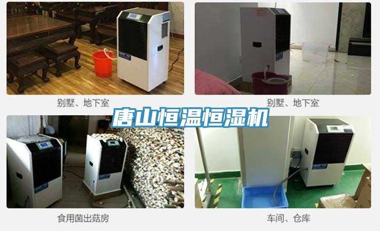 唐山恒溫恒濕機