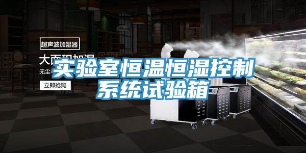 實驗室恒溫恒濕控制系統(tǒng)試驗箱
