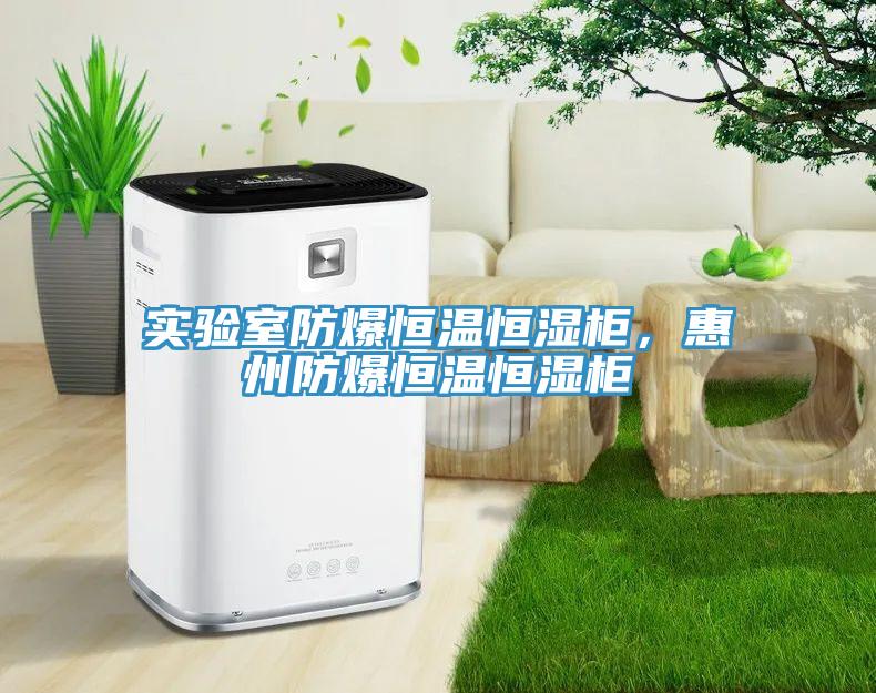 實(shí)驗(yàn)室防爆恒溫恒濕柜，惠州防爆恒溫恒濕柜