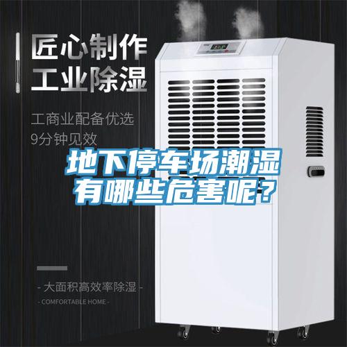 地下停車場(chǎng)潮濕有哪些危害呢？