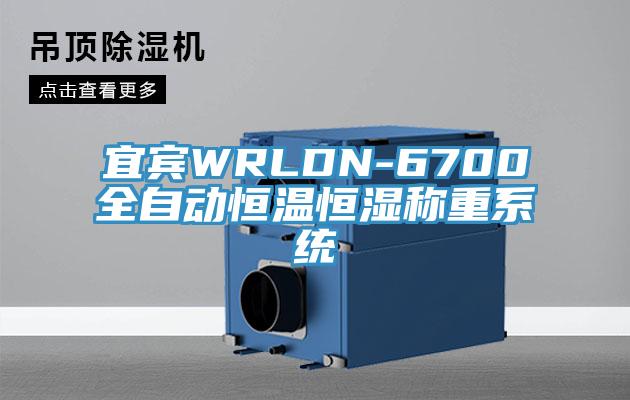 宜賓WRLDN-6700全自動恒溫恒濕稱重系統(tǒng)