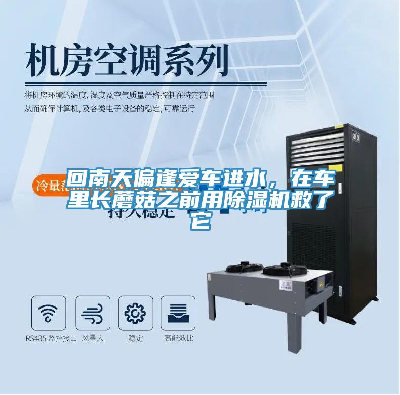 回南天偏逢愛車進(jìn)水，在車?yán)镩L蘑菇之前用除濕機(jī)救了它
