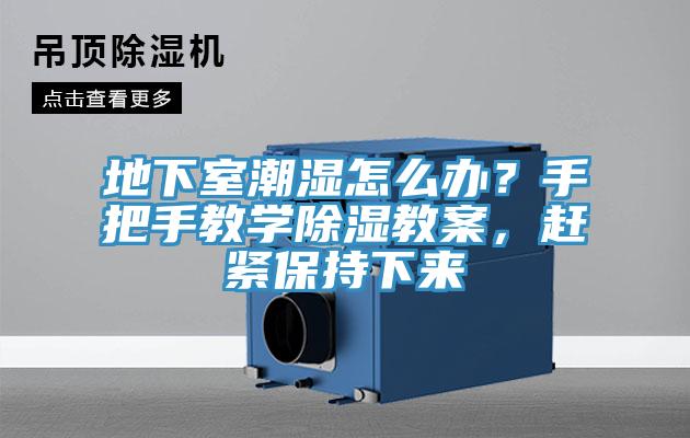 地下室潮濕怎么辦？手把手教學除濕教案，趕緊保持下來