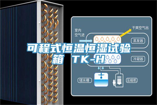 可程式恒溫恒濕試驗(yàn)箱 TK-H