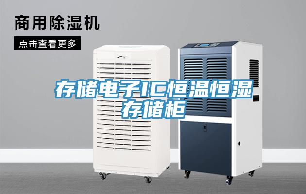 存儲(chǔ)電子IC恒溫恒濕存儲(chǔ)柜