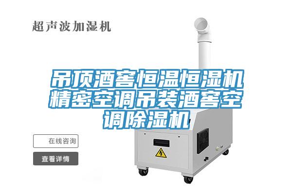 吊頂酒窖恒溫恒濕機(jī)精密空調(diào)吊裝酒窖空調(diào)除濕機(jī)