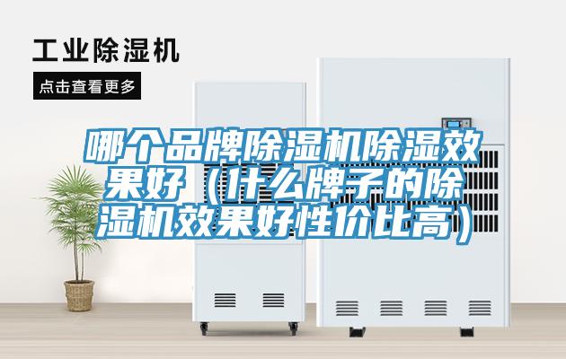 哪個(gè)品牌除濕機(jī)除濕效果好（什么牌子的除濕機(jī)效果好性價(jià)比高）