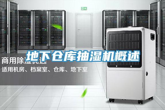 地下倉庫抽濕機概述