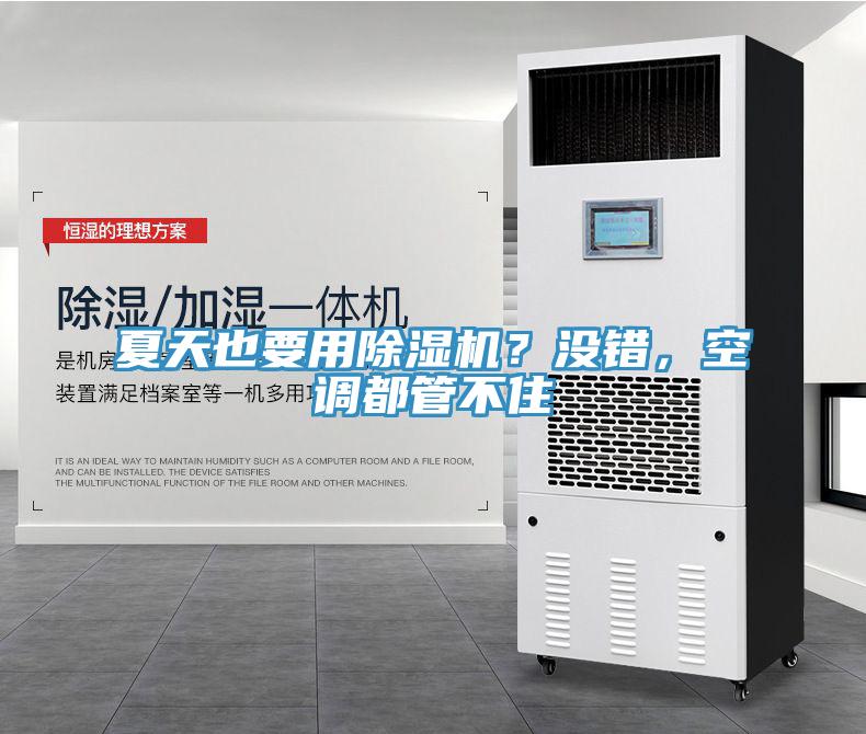 夏天也要用除濕機？沒錯，空調(diào)都管不住