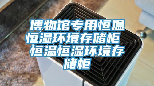 博物館專用恒溫恒濕環(huán)境存儲柜 恒溫恒濕環(huán)境存儲柜