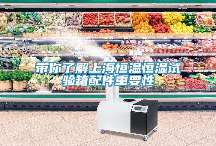帶你了解上海恒溫恒濕試驗(yàn)箱配件重要性