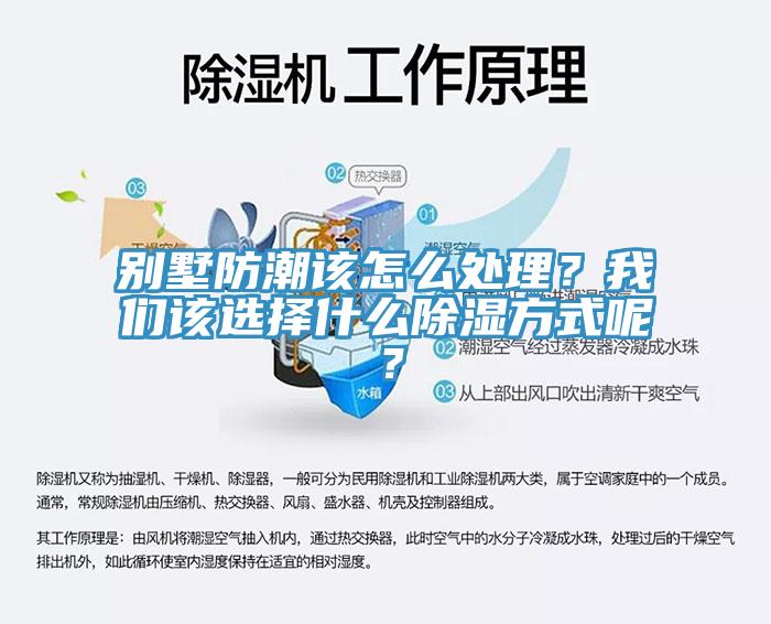 別墅防潮該怎么處理？我們該選擇什么除濕方式呢？
