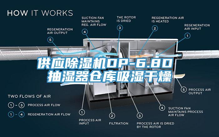 供應(yīng)除濕機(jī)DP-6.8D 抽濕器倉(cāng)庫(kù)吸濕干燥