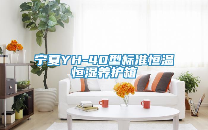 寧夏YH-40型標(biāo)準(zhǔn)恒溫恒濕養(yǎng)護(hù)箱