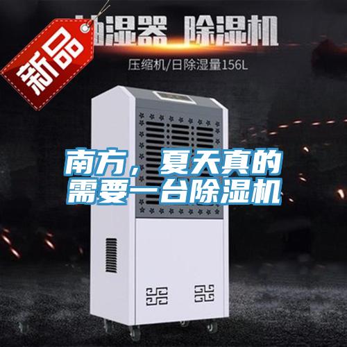 南方，夏天真的需要一臺除濕機
