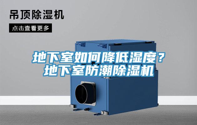 地下室如何降低濕度？地下室防潮除濕機
