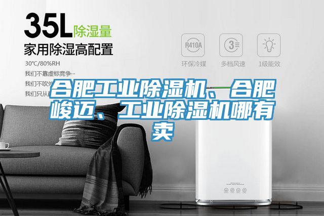 合肥工業(yè)除濕機、合肥峻邁、工業(yè)除濕機哪有賣