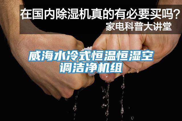 威海水冷式恒溫恒濕空調(diào)潔凈機(jī)組