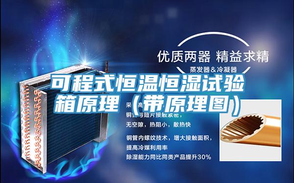 可程式恒溫恒濕試驗(yàn)箱原理（帶原理圖）