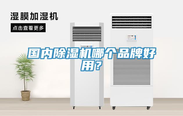 國(guó)內(nèi)除濕機(jī)哪個(gè)品牌好用？