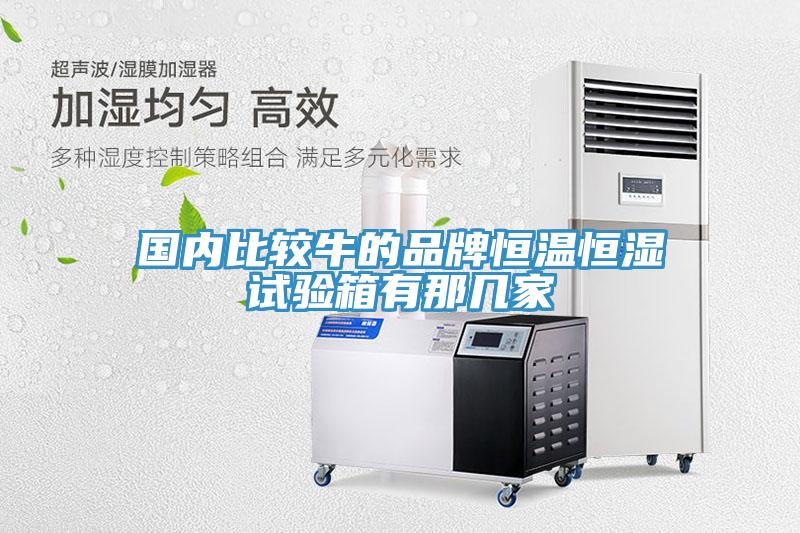 國內(nèi)比較牛的品牌恒溫恒濕試驗箱有那幾家