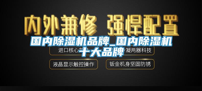 國(guó)內(nèi)除濕機(jī)品牌_國(guó)內(nèi)除濕機(jī)十大品牌