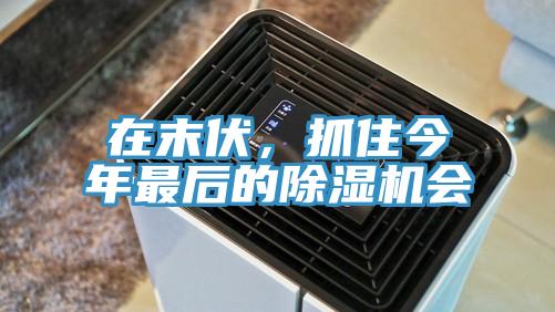 在末伏，抓住今年最后的除濕機會