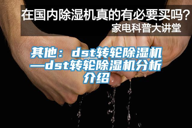 其他：dst轉(zhuǎn)輪除濕機—dst轉(zhuǎn)輪除濕機分析介紹
