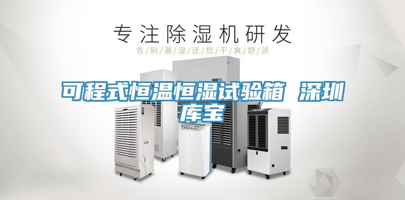 可程式恒溫恒濕試驗(yàn)箱 深圳庫寶