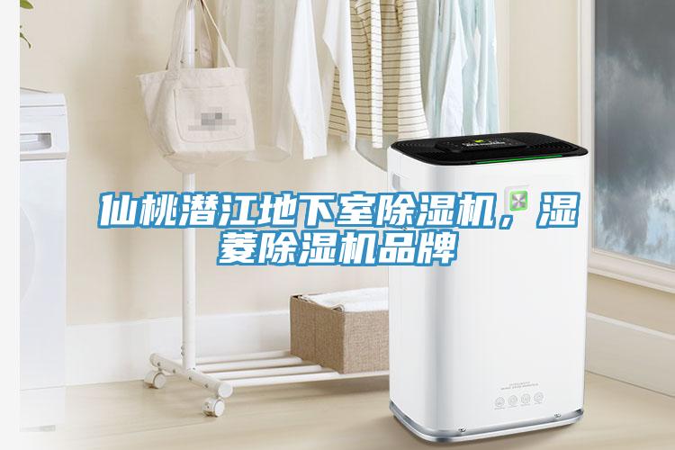 仙桃潛江地下室除濕機(jī)，濕菱除濕機(jī)品牌