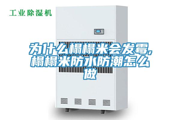 為什么榻榻米會發(fā)霉,榻榻米防水防潮怎么做