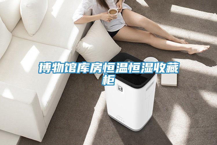 博物館庫(kù)房恒溫恒濕收藏柜