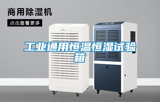 工業(yè)通用恒溫恒濕試驗箱