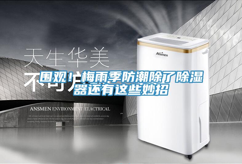 圍觀！梅雨季防潮除了除濕器還有這些妙招