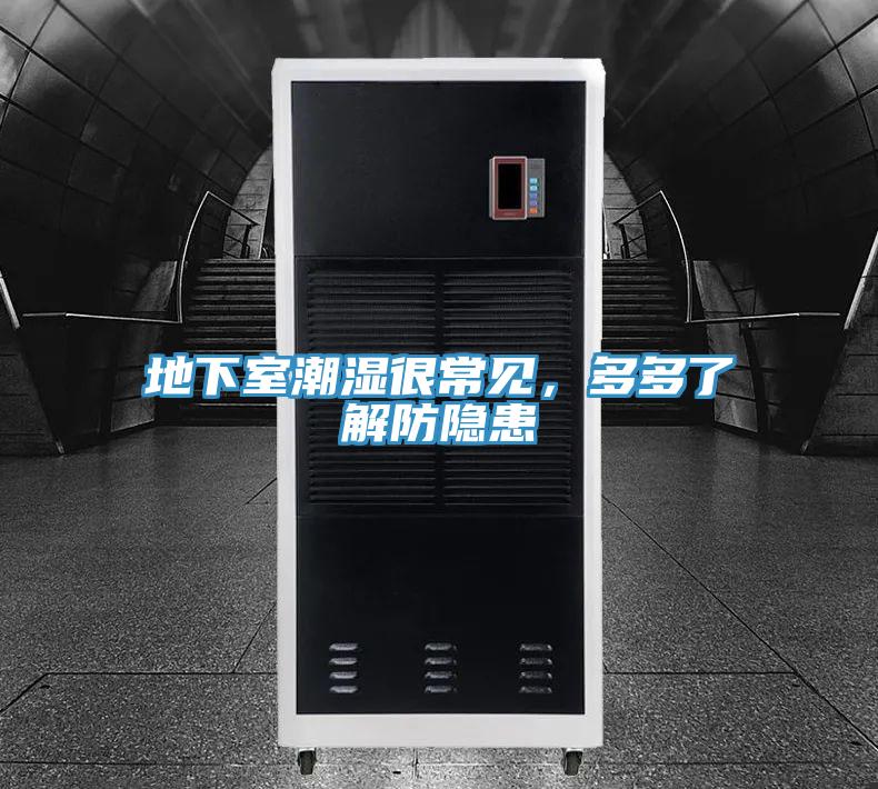 地下室潮濕很常見，多多了解防隱患