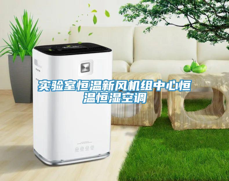 實(shí)驗(yàn)室恒溫新風(fēng)機(jī)組中心恒溫恒濕空調(diào)