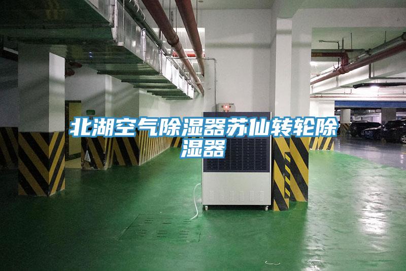 北湖空氣除濕器蘇仙轉(zhuǎn)輪除濕器