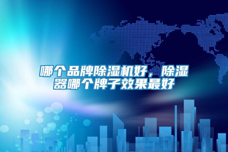 哪個(gè)品牌除濕機(jī)好，除濕器哪個(gè)牌子效果最好