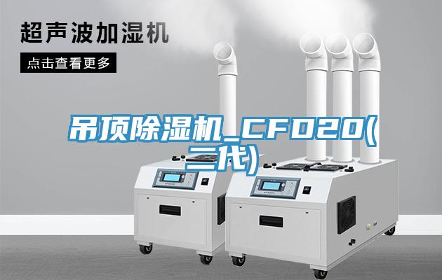 吊頂除濕機(jī)_CFD20(二代)