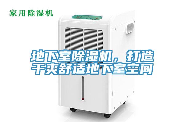 地下室除濕機(jī)，打造干爽舒適地下室空間