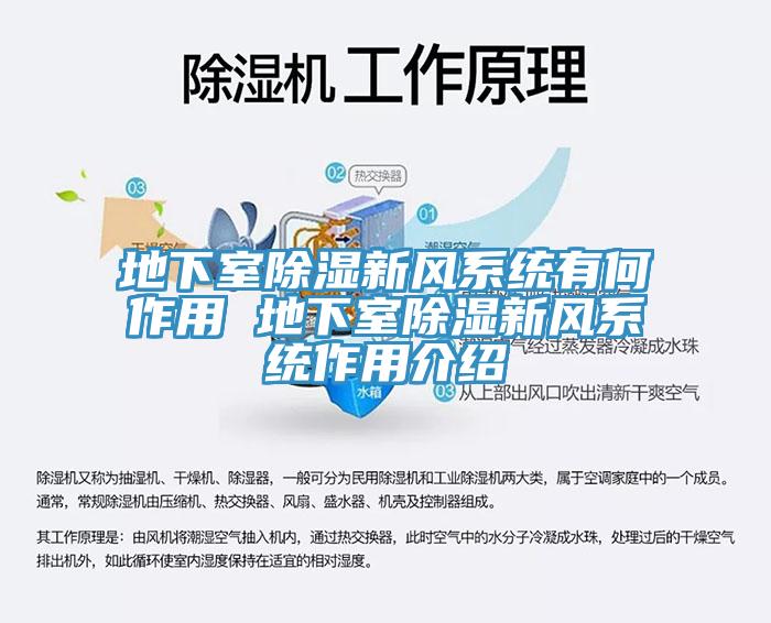 地下室除濕新風(fēng)系統(tǒng)有何作用 地下室除濕新風(fēng)系統(tǒng)作用介紹