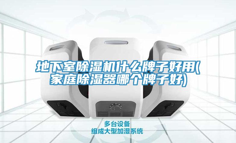 地下室除濕機(jī)什么牌子好用(家庭除濕器哪個(gè)牌子好)